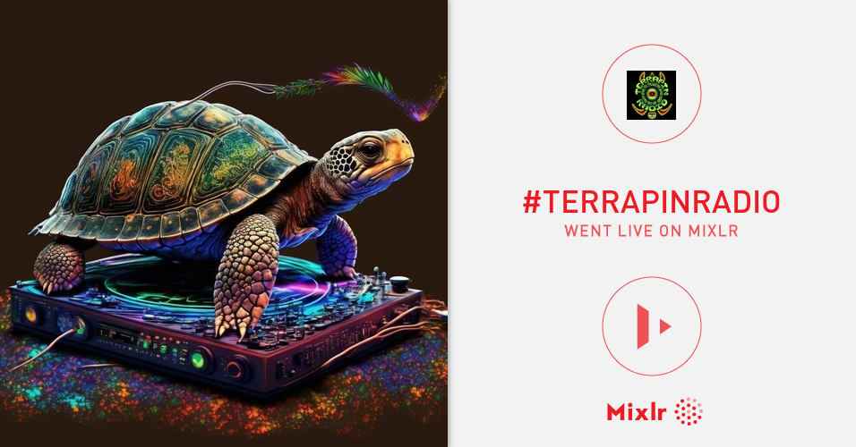 dead and co mixlr terrapin
